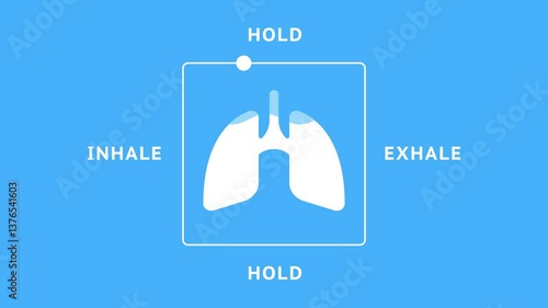 1 minute animation of a box breathing exercise guide with lungs icon and inhale-hold-exhale cycle. Useful for meditation, relaxation, and mindfulness apps or videos. Alpha channel. 4K.