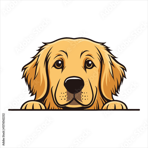 Peeking Golden Retriever Dog Vector