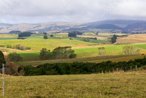 Beautiful rural landscape on highway 94. Mountain range, green fields, and forests. South Island, New Zealand