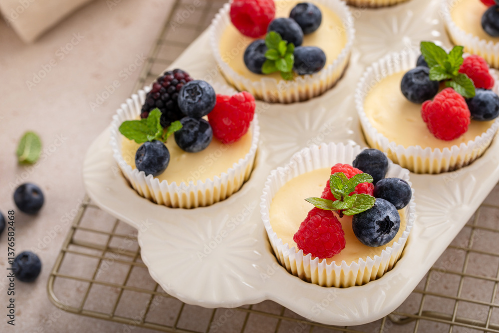 Mini cheesecakes baked in a muffin pan topped with fresh berries Mini cheesecakes baked in a muffin pan topped with fresh berries