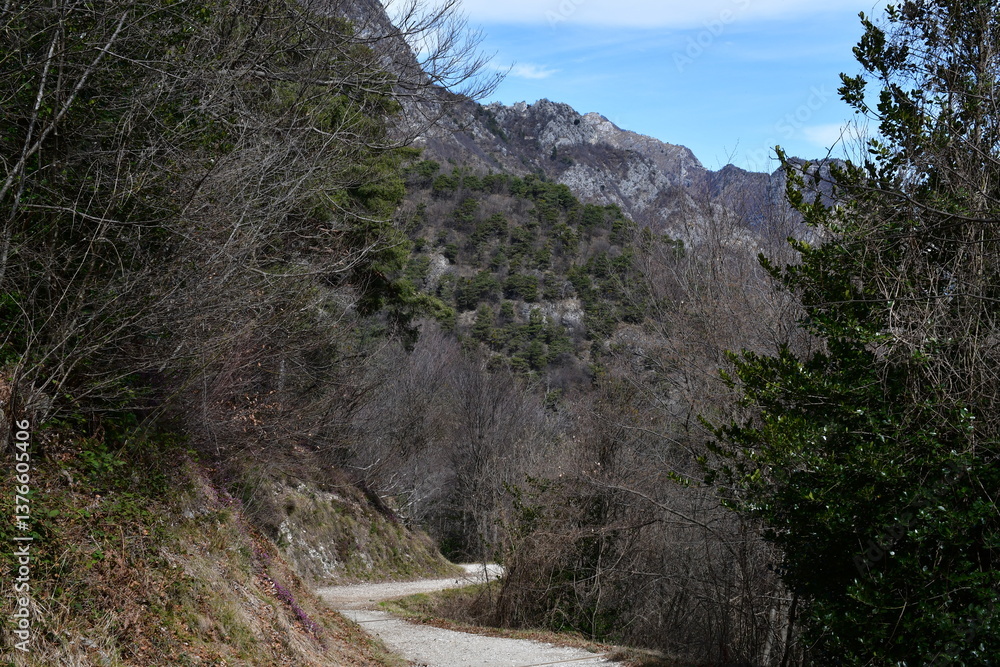 Ein Wanderweg bei Pregasina im Trentino