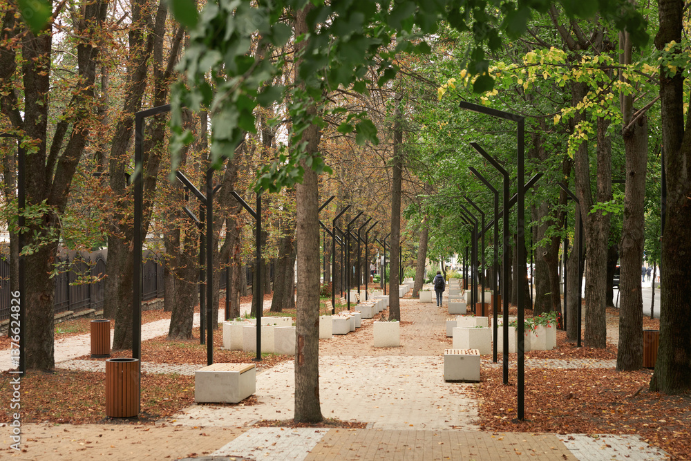 Fall. A picturesque alley with a lone pedestrian in the distance. The walkway and benches are covered with fallen leaves.