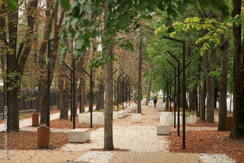 Obraz na płótnie Fall. A picturesque alley with a lone pedestrian in the distance. The walkway and benches are covered with fallen leaves. w salonie