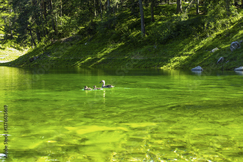 Obraz na płótnie Tragöss, Grüner See, Österreich, Steiermark w salonie