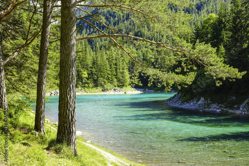 Obraz na płótnie Tragöss, Grüner See, Österreich, Steiermark w salonie