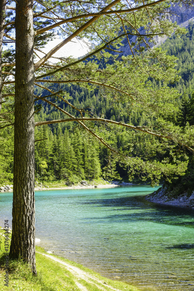 Tragöss, Grüner See, Österreich, Steiermark