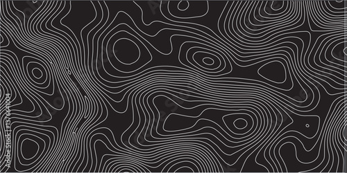 Modern Transparent PNG Topographic Line Map with Gracefully Curved, Fluid Wavy Patterns Over a White Background, Ideal for Minimalist Design, Cartography, and Professional Visual Projects