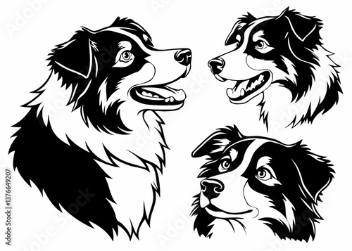 Happy Australian Shepherd Dog – Peeking Puppy Face Vector Art


