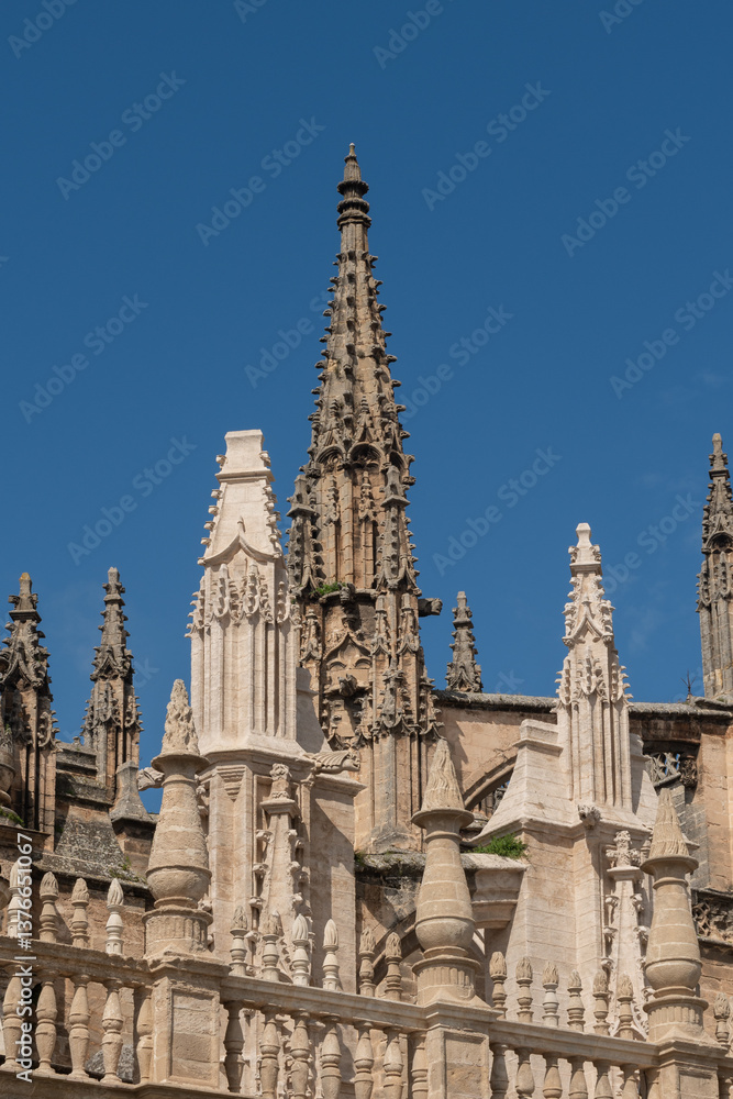 Fototapeta premium Siviglia - Spagna - Andalusia - La Cattedrale