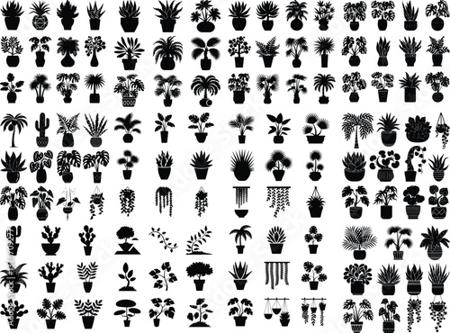 Indoor Plants Silhouette | Houseplants and Botanical Vector Collection
