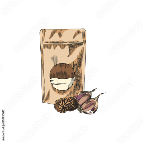 Vector watercolor sketch of ground and dried nutmeg packaging with garlic cloves.