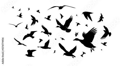 A flock of ducks and seagulls flying. hand drawing. Not AI. Vector illustration.