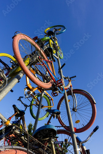 Obraz na płótnie Fahrrad, Burgenland, Österreich, Neusiedlersee Seewinkel w salonie