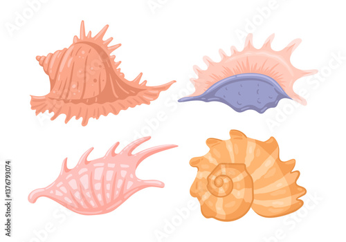 Sea shells. Cartoon marine mollusks shells, underwater clams, ocean mollusks sea shells flat vector illustration set. Summer beach seashells