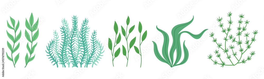 Underwater marine flora plants. Seaweed marine flora, cartoon ocean nature seaweed plants flat vector illustration set. Ocean growing algae collection Underwater marine flora plants. Seaweed marine flora, cartoon ocean nature seaweed plants flat vector illustration set. Ocean growing algae collection