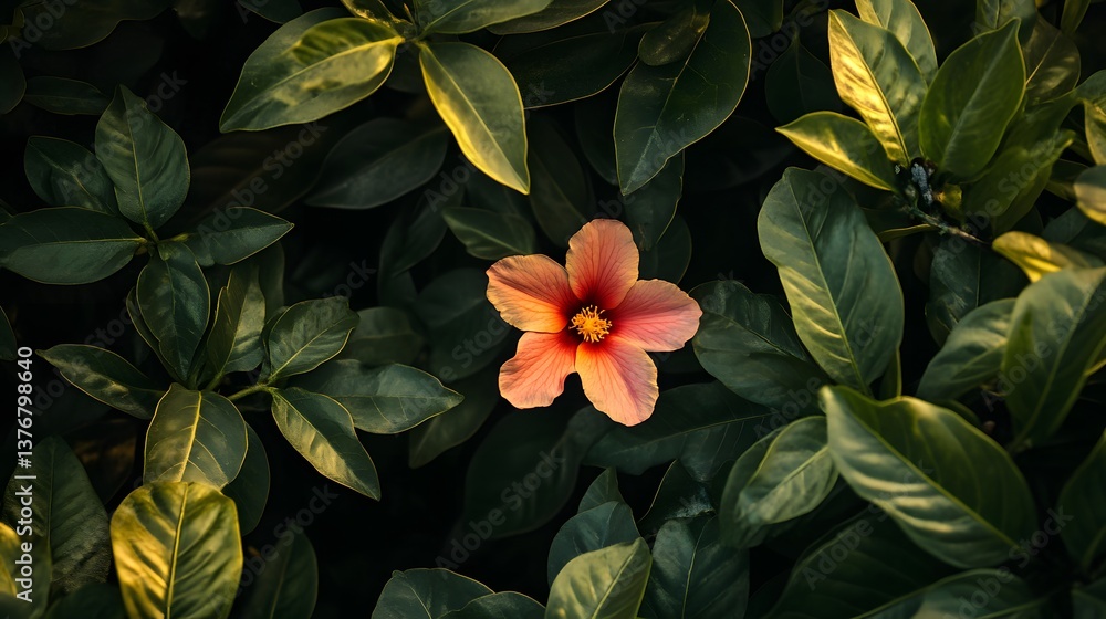 Detailed Flower and Surrounding Leaves - Botanical Close-up View for Floral Designs Detailed Flower and Surrounding Leaves - Botanical Close-up View for Floral Designs