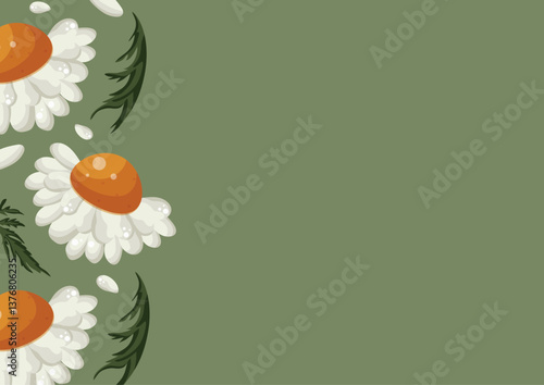 floral poster with open white chamomile buds with a yellow center and green leaves on a green background, placed sideways