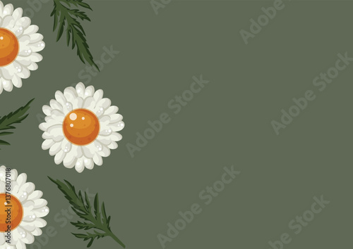floral poster with open buds of a large white daisy and green leaves on a green background, placed sideways