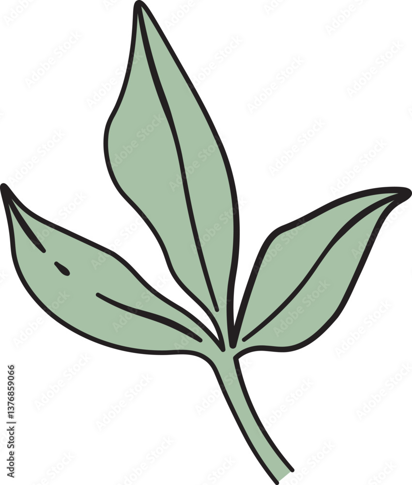 Obraz premium Simple Peony Leaf Drawing