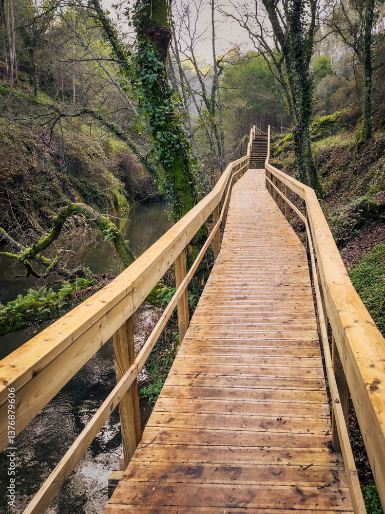 Wooden walkway through a lush forest, crossing over a serene stream, with moss-covered trees and a tranquil atmosphere, located in Pindelo, Outeiro, Oliveira de Azemeis, Portugal Wooden walkway through a lush forest, crossing over a serene stream, with moss-covered trees and a tranquil atmosphere, located in Pindelo, Outeiro, Oliveira de Azemeis, Portugal