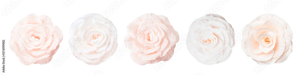 Obraz premium Beautiful paper flowers on white background, set. Top view