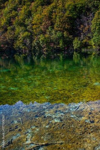 Obraz na płótnie The tranquil transparent waters of lake in the background. Tree into the shallow waters. Beautiful nature lake. Landscape Reflection off of a clear lake water surface on a bright sunny day. w salonie