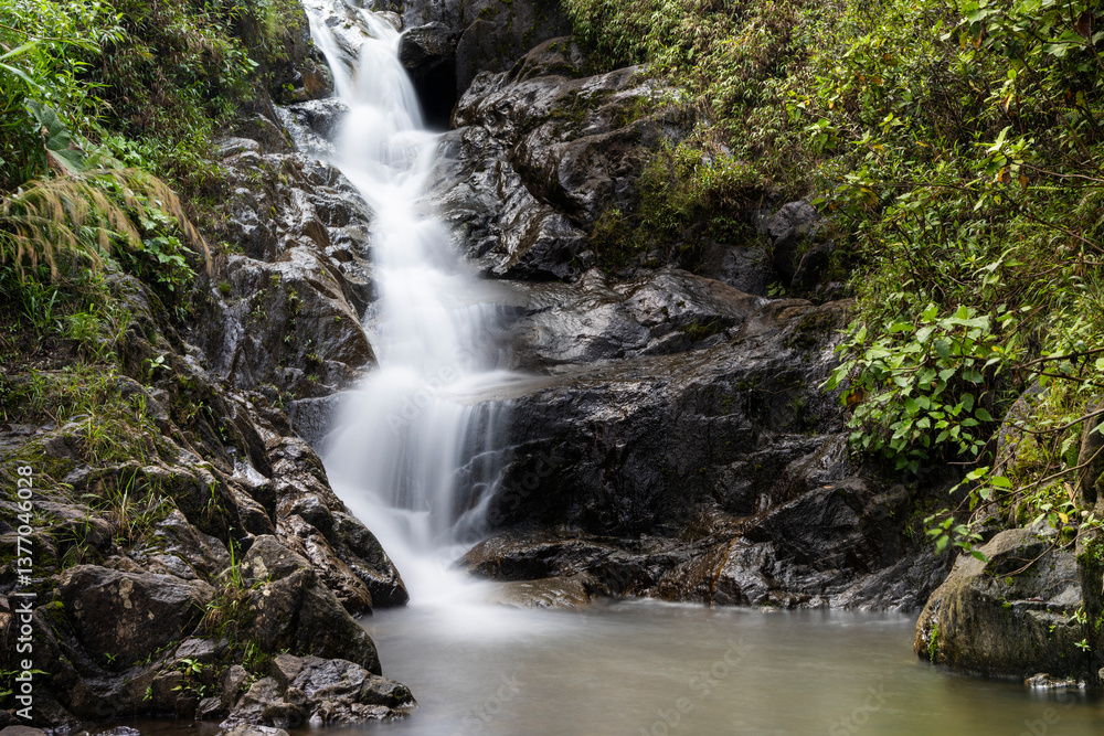 A waterfall in the jungle A waterfall in the jungle