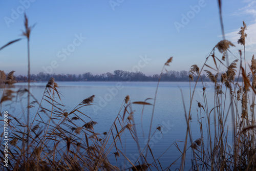 Winter scene and a lake