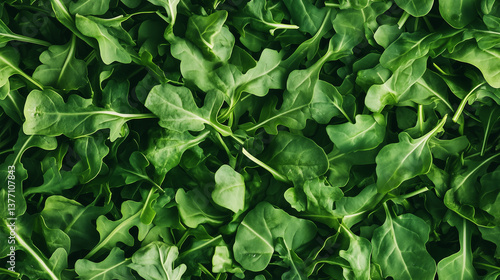 AI generated seamless pattern of arugula leaves