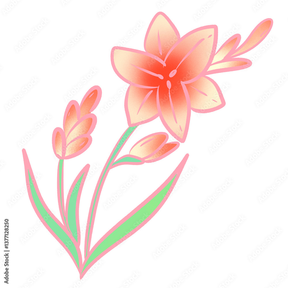 Fototapeta premium Pastel Petals