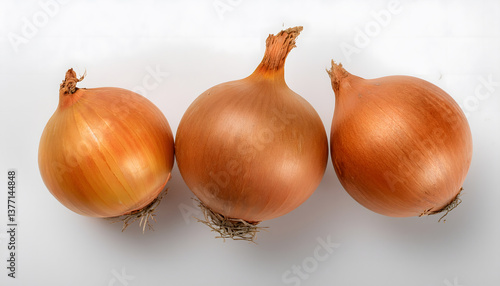 Wallpaper Mural たまねぎ Torontodigital.ca