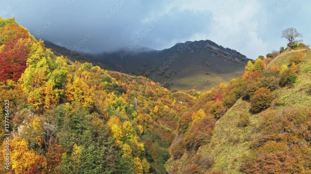 Aerial scenic waterfall in colourful fall forest, autumn hiking in caucasus mountains, aerial drone shot of a waterfall in autumn woods. Near Kazbegi and Gudauri area. coloured high quality 4k footage Aerial scenic waterfall in colourful fall forest, autumn hiking in caucasus mountains, aerial drone shot of a waterfall in autumn woods. Near Kazbegi and Gudauri area. coloured high quality 4k footage
