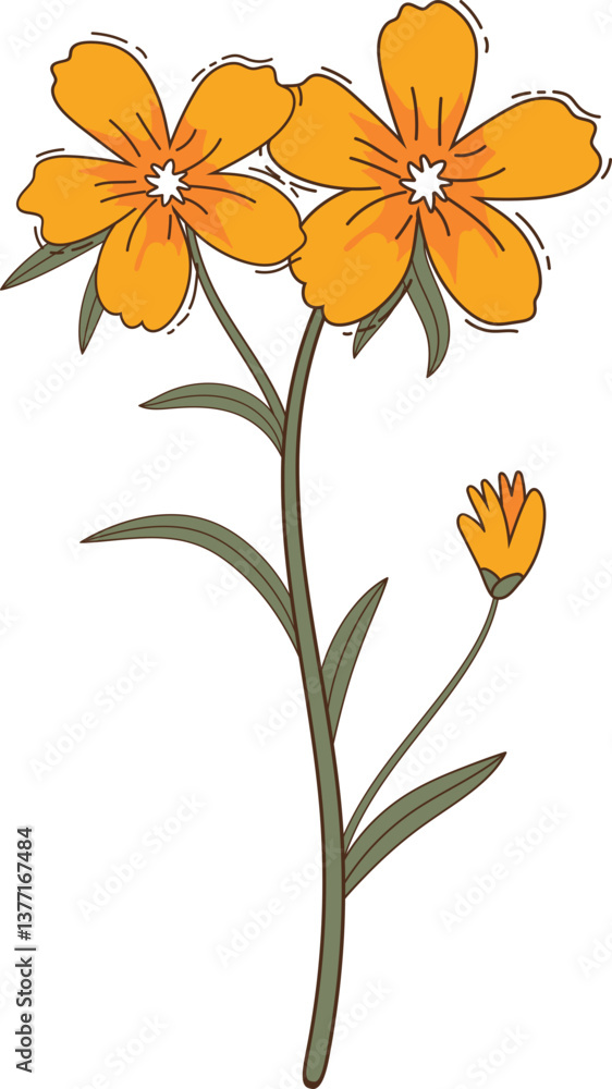 Fototapeta premium Hand-Drawn Wildflower Illustration – Colorful Floral Botanical Art