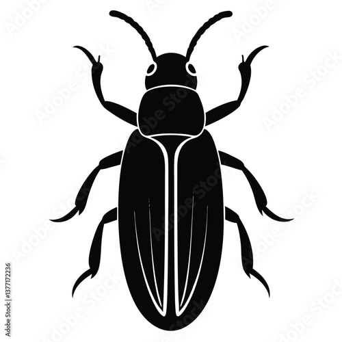 Beetle Insect Silhouette