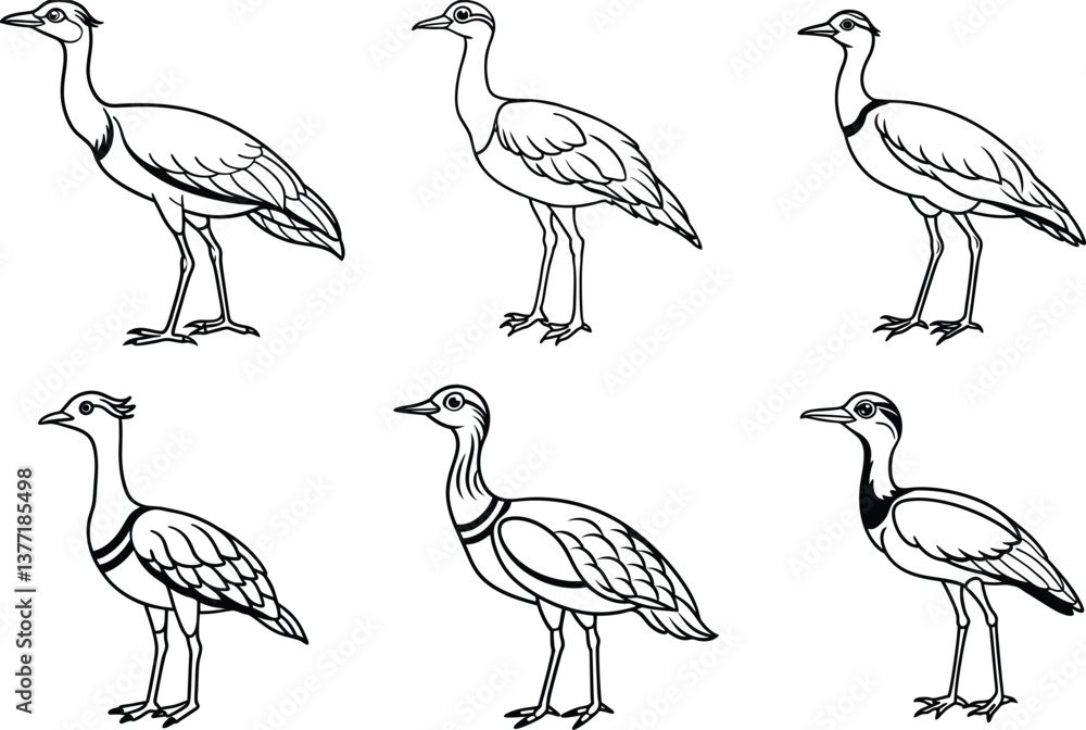 Naklejka premium Various Bird Line Art Illustration Collection.
