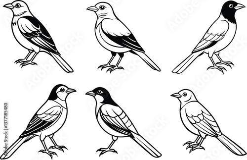 Wallpaper Mural Various Bird Line Art Illustration Collection. Torontodigital.ca