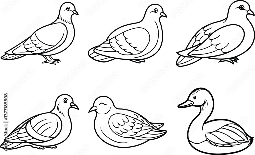 Obraz premium Various Bird Line Art Illustration Collection.