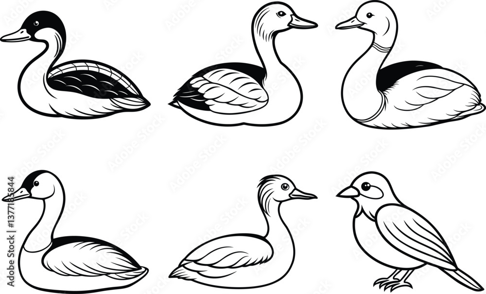Fototapeta premium Various Bird Line Art Illustration Collection.