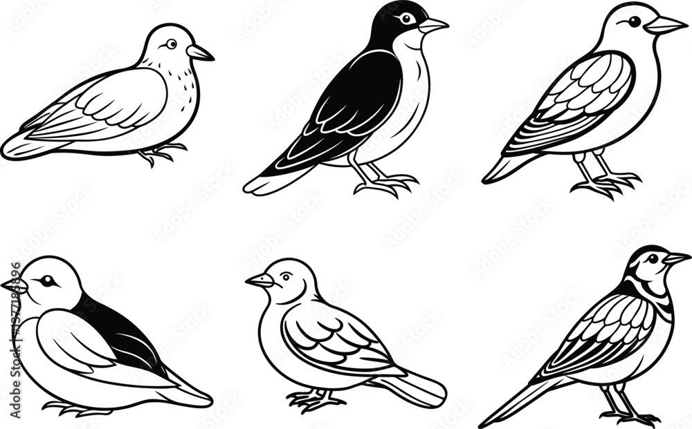 Obraz premium Various Bird Line Art Illustration Collection.