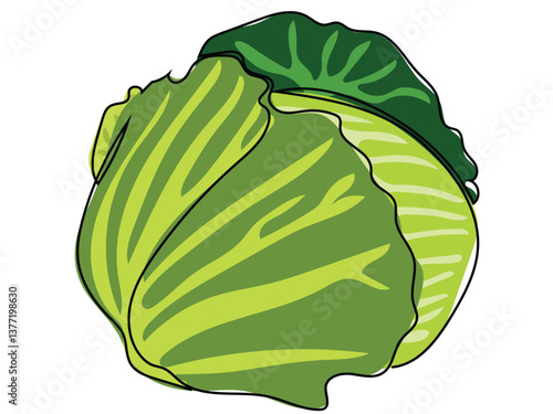Cabbage in continuous line drawing on white background.