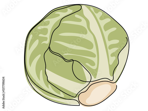 Cabbage in continuous line drawing on white background.