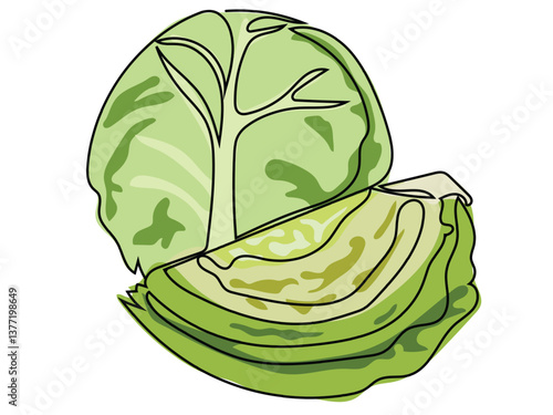 Cabbage in continuous line drawing on white background.