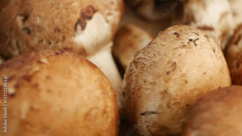 Fresh mushrooms gathered from the forest for cooking meals Fresh mushrooms gathered from the forest for cooking meals