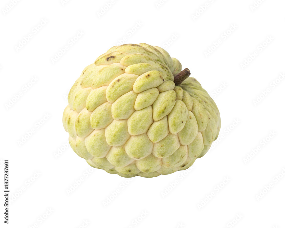 Obraz premium Fresh Sugar Apple Fruit Clipart – Isolated PNG Images for Design