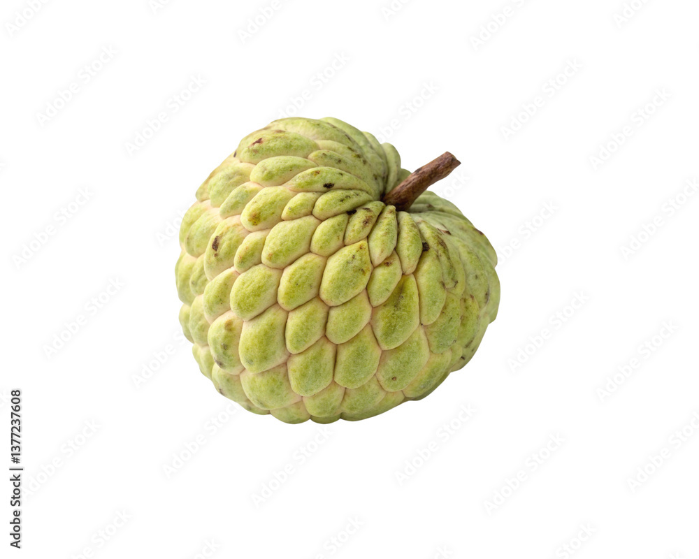 Sugar Apple on white background Sugar Apple on white background