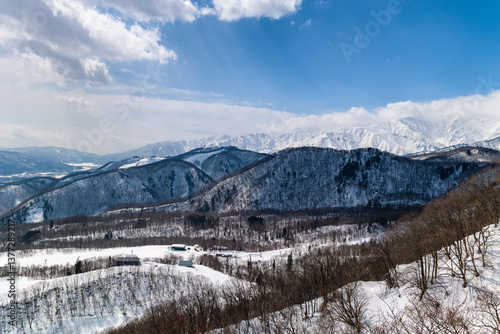 Obraz na płótnie Snow covered mountain and forest alpine scenery on a sunny day. Hakuba, Nagano w salonie
