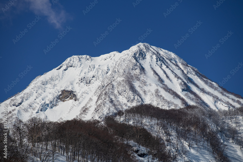 Fototapeta premium 快晴の冬の朝 林から顔を出す雪をいただく妙高山
