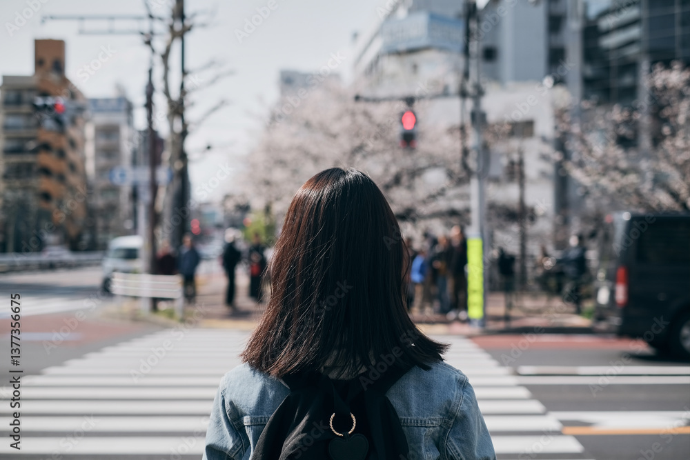春の通りを歩く女性の後ろ姿 春の通りを歩く女性の後ろ姿