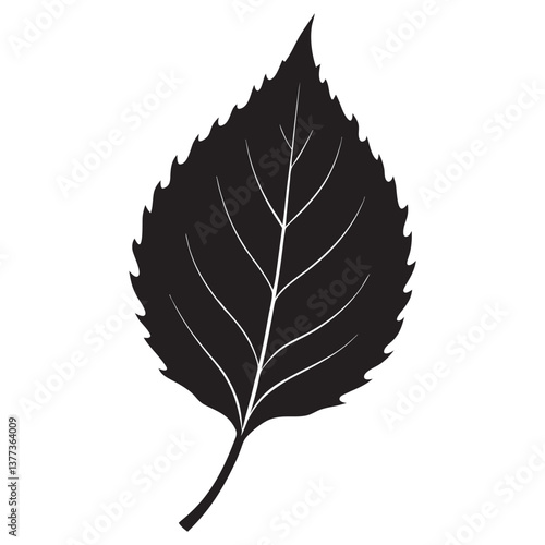 Birch leaf black silhouette Vector illustration. leaf black vector icon, Birch leaf white background