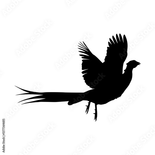 Pheasant Silhouette - Bird Vector Graphic